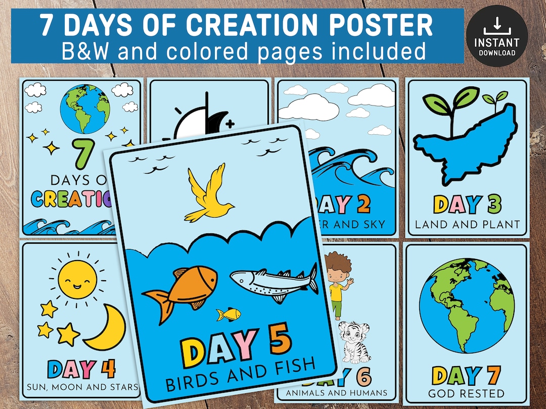 The 7 Days of Creation Flash Card, Printable Bible Activity, Watercolor ...