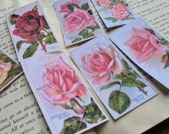 1914 Rose Trading Cards | Victorian Floral Junk Journal Ephemera | Vintage Rose Cards | 2 Sizes Included FREE SHIPPING