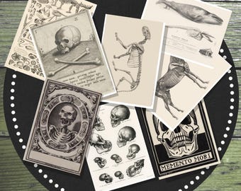 Printable Vintage Skeleton and Skull Journal Cards, Set of 8. Dark academia junk journaling cards, spooky journal, skeletons, skulls, gothic