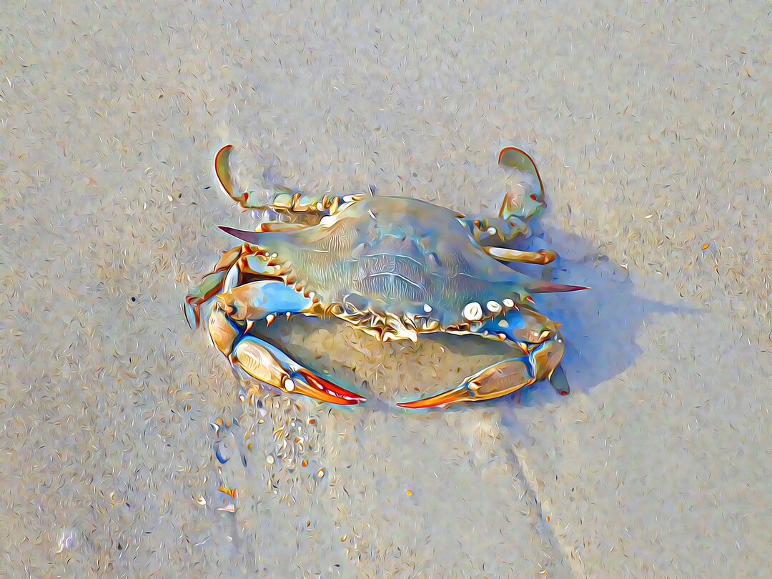 Blue Crab on the Beach - Etsy