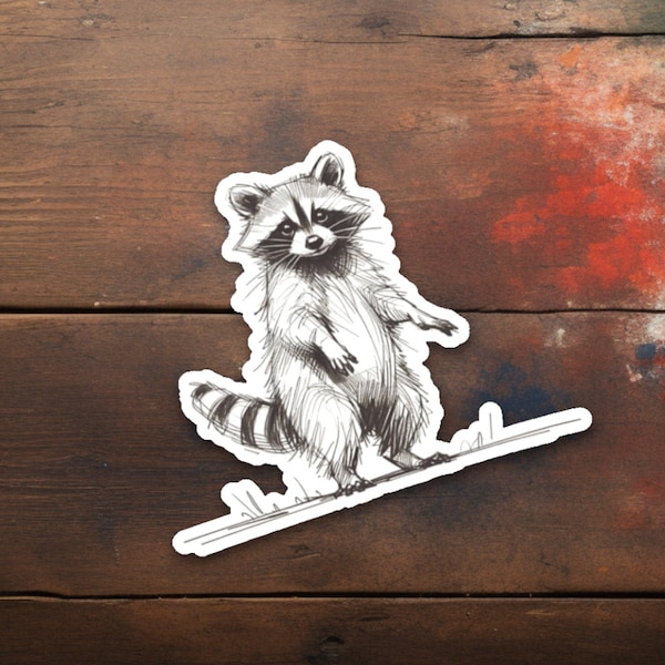 Raccoon Sticker, Cute Raccoons Decal, Trash Panda Stickers, Sweet Sketch Art, Forest Wildlife Illustration, Animal Lover Unique Outdoor Gift
