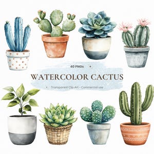 May include: A watercolour illustration showcasing a collection of potted cacti and succulents. The image displays diverse plants in various pots, including a blue cactus, a green succulent, and a cactus with pink flowers. The text "WATERCOLOR CACTUS" is also visible.