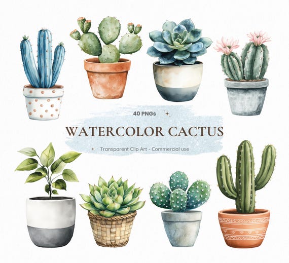 40 Watercolor Cactus Clipart, Potted Succulents Plants, Boho Greenery, Transparent PNGs, Digital Download, Commercial Use for Crafts DIY