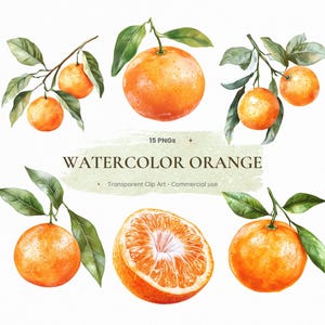 Puede incluir: Ilustración en acuarela de naranjas con hojas verdes. La imagen incluye naranjas enteras, rodajas de naranja y naranjas en ramas. El texto "WATERCOLOR ORANGE" se muestra en el centro de la imagen, junto con el texto "15 PNGs" y "Transparent Clip Art - Commercial use."