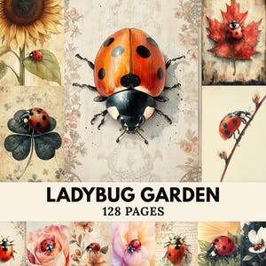 Pode incluir: Uma colagem de ilustrações com joaninhas em vários fundos, incluindo um girassol, uma folha de bordo e flores. A imagem central é uma joaninha grande com uma concha vermelha e preta. O texto "LADYBUG GARDEN" e "128 PAGES" são exibidos.