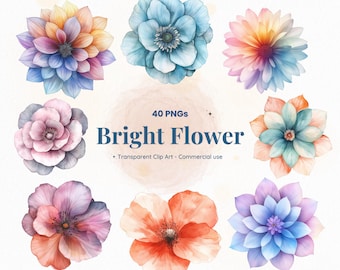 40 Bright Flower PNG Clipart, Watercolor Floral Clip Art, Rainbow Flowers, Transparent PNG, Commercial Use, Instant Download DIY Crafts Pack