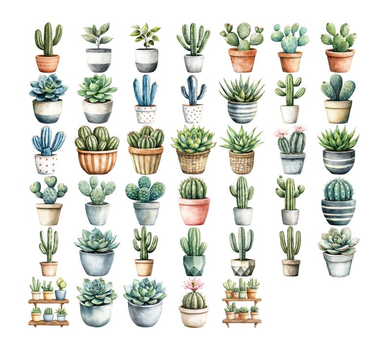 May include: Watercolor illustration of various potted cacti and succulents. The image features a variety of shapes, sizes, and colors of plants in different pots, including terracotta, ceramic, and woven baskets. The plants are arranged on a white background.