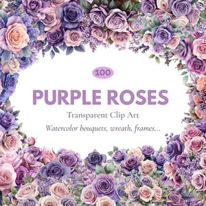 May include: A digital graphic featuring a collection of watercolour purple roses in various shades, arranged in a floral border. The text "PURPLE ROSES" is displayed in the centre, along with "Transparent Clip Art" and "Watercolor bouquets, wreath, frames..."