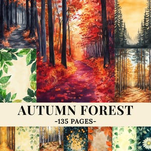 Peut inclure: Une collection d'illustrations à l'aquarelle représentant des scènes de forêt en automne. Les images présentent des chemins à travers des forêts avec un feuillage rouge, orange et jaune vif. Le texte "AUTUMN FOREST -135 PAGES-" est affiché en bas.