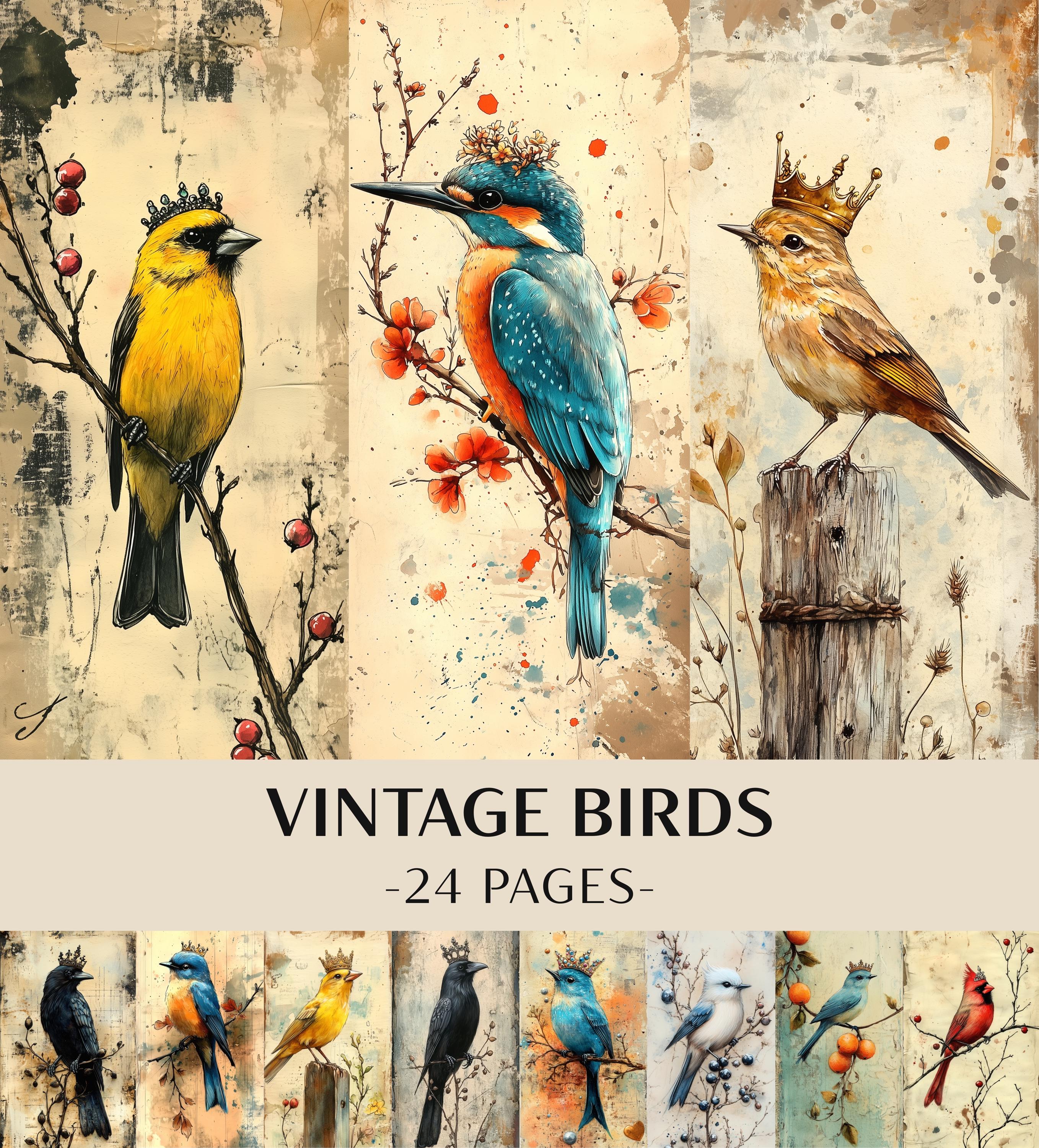24 Vintage Birds Junk Journal Kit | Watercolor Bird Ephemera Printable ...