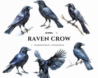 22 Raven Crow Clipart PNG, Black Bird, Flying Raven, Gothic Witchcraft, Halloween, Dark Forest, Sublimation, Digital Download Set