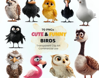 Funny Cartoon Bird Clipart | 70 PNG Illustrations (Digital Download)