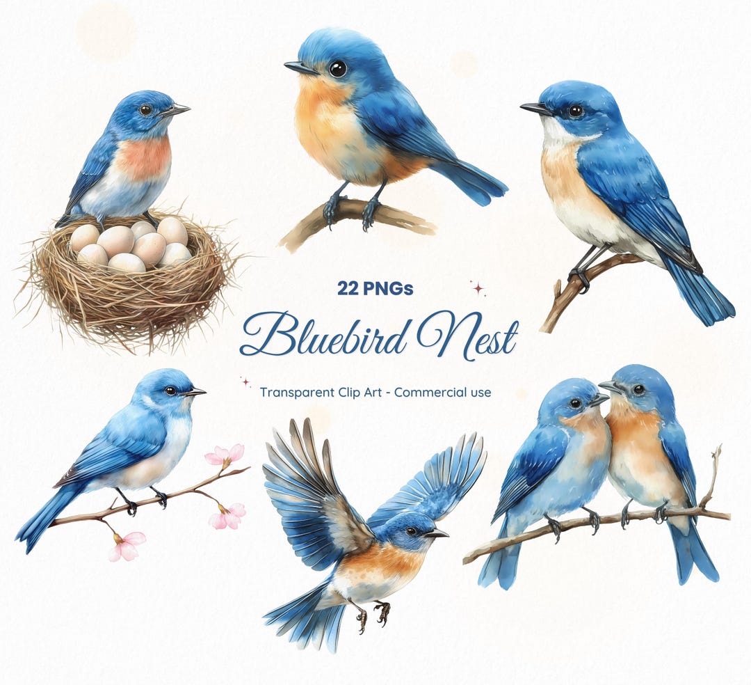 22 Bluebird Nest Clipart PNG, Watercolor Blue Bird Illustrations ...