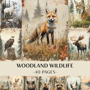 May include: A collage of watercolor illustrations featuring woodland wildlife. The images include a fox, eagle, moose, lynx, goat, owl, rabbit, boar, bear, raccoon, and deer. The text "WOODLAND WILDLIFE -40 PAGES-" is displayed.