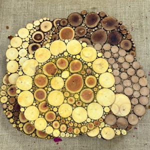 Könnte beinhalten: Ein Set aus drei runden Untersetzern aus Holzscheiben. Die Untersetzer sind kreisförmig angeordnet, wobei der größte Untersetzer hinten und der kleinste vorne liegt. Die Untersetzer sind aus Naturholz gefertigt und haben ein rustikales Aussehen.