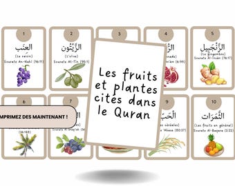 Quran Fruits & Plants Flashcards | Arabic French Islamic Learning (Digital Download)