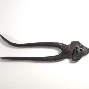 Peut inclure: Une paire de pinces rouillées, anciennes, avec un design unique sur les mâchoires. Les pinces sont en métal et ont une couleur brun foncé.