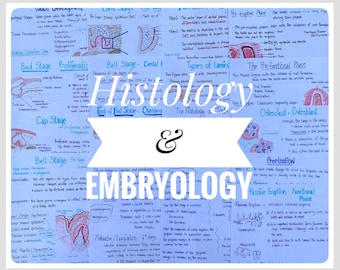 Histology & Embryology of Tooth Development and Eruption in Dental Hygiene