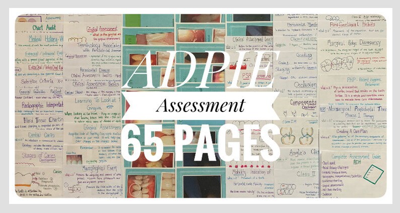 Complete Clinical Assessment Guide for the ADPIE Process of Care for ...
