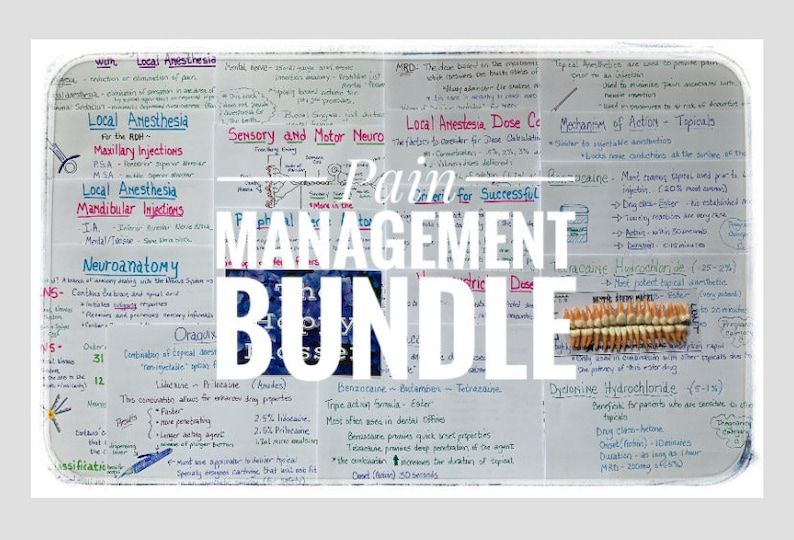 May include: A white dry-erase board with handwritten notes about pain management, including local anesthesia, neuroanatomy, and different types of pain medications. The board has the title "Pain Management Bundle" written in large, bold letters.
