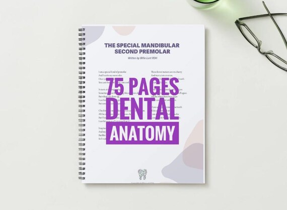 Dental Tooth Anatomy Spiralbound 75 Color Handwritten Notes for