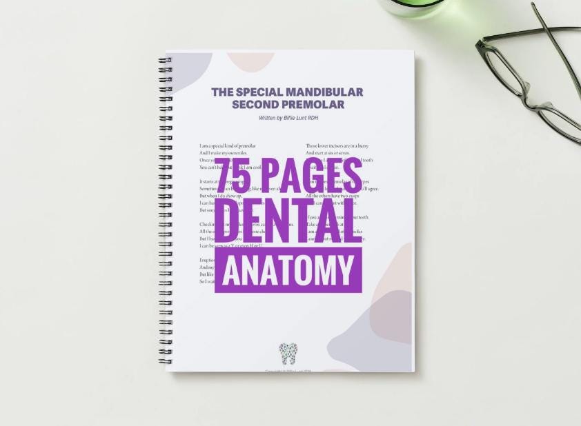 Dental Tooth Anatomy Spiralbound 75 Color Handwritten Notes for
