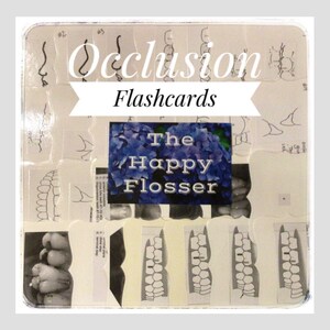 Occlusion Dental Hygiene Flashcards