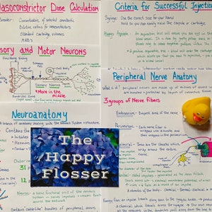 May include: A colorful educational poster about the anatomy of the nervous system. The poster features a diagram of a neuron, a yellow rubber duck, and the text "The Happy Flosser".