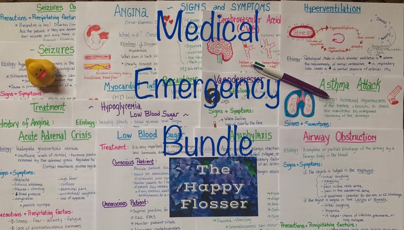 Medical Emergencies Bundle Study Sheets for The Dental Hygienist image 3