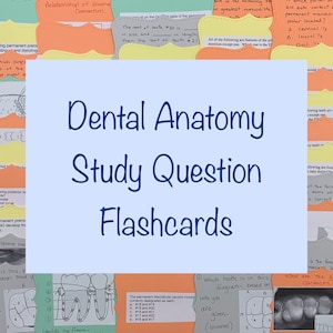 Tarjetas didácticas con preguntas de estudio sobre anatomía dental para estudiantes de odontología