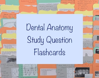 Study Question Flashcards on Dental Anatomy for Dental Students