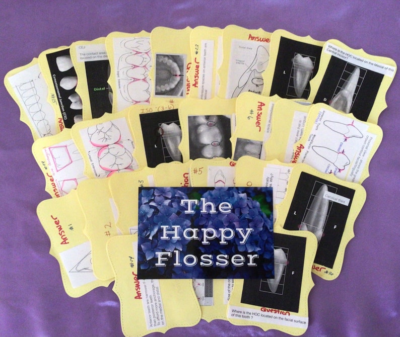 Form and Function Dental Anatomy Study Sheets and Flashcards Etsy