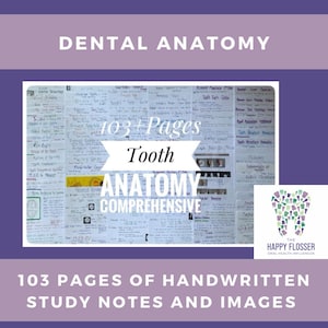 Dental Anatomy Comprehensive Digital Copy Color Study Sheets