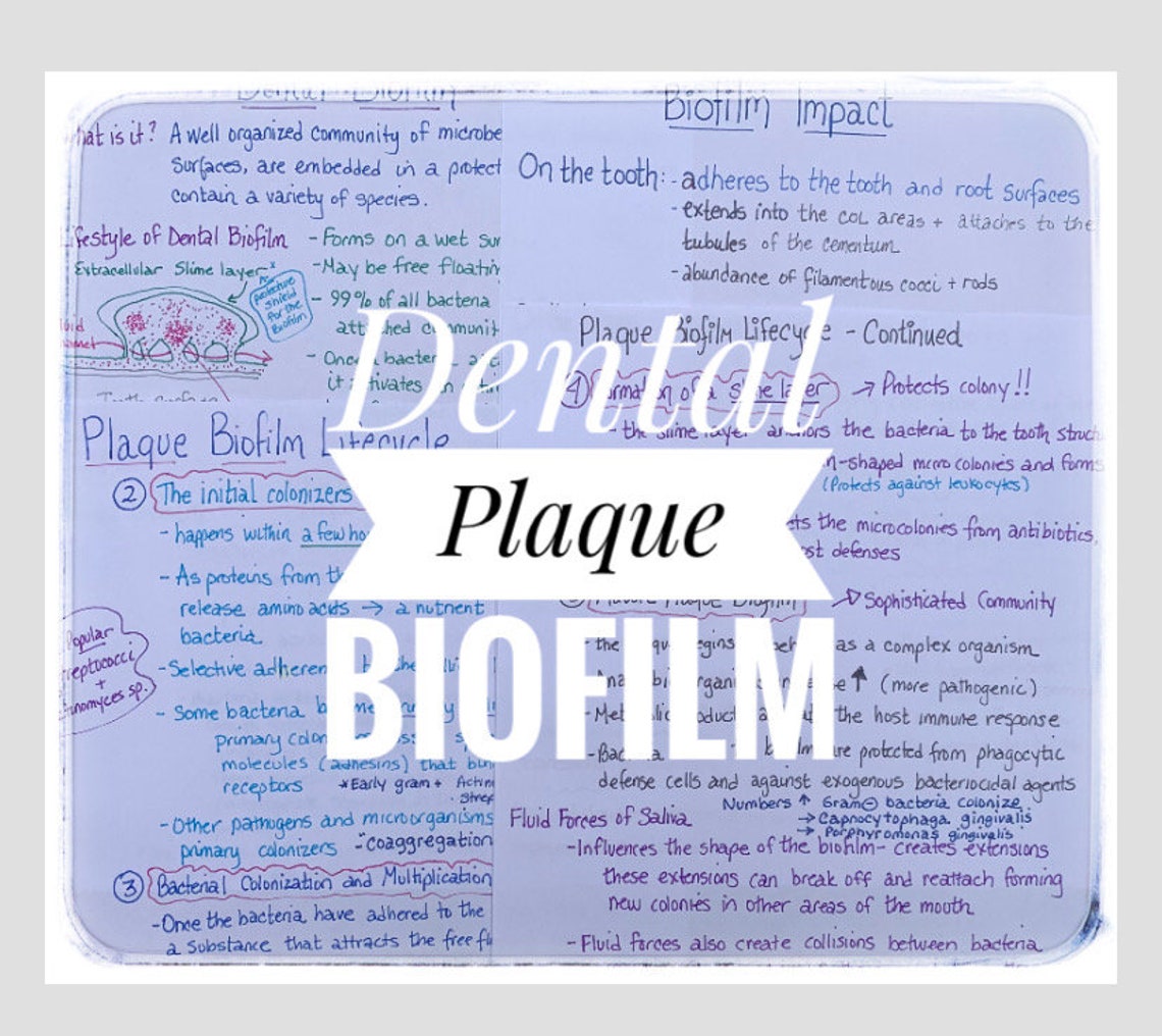 Plaque Notes Dental Plaque Biofilm Study Notes for Dental Hygiene Students - Etsy