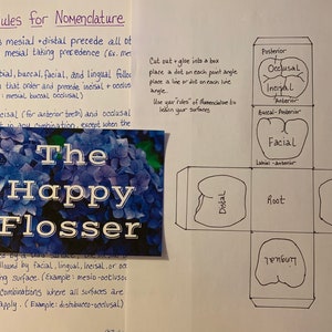 This is the box shown in the video which you can assemble. The Rules for Nomenclature are helpful in putting the words together correctly