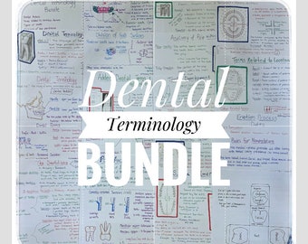 Dental Terminology Study Sheet Bundle for the Dental Hygiene Student