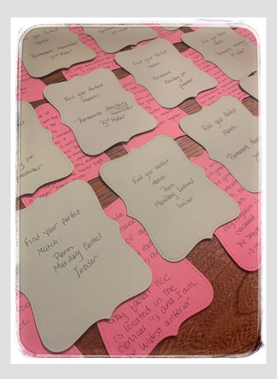 Find Your Perfect Match Flashcard Game on Tooth Anatomy for Dental Hygiene Students Etsy UK