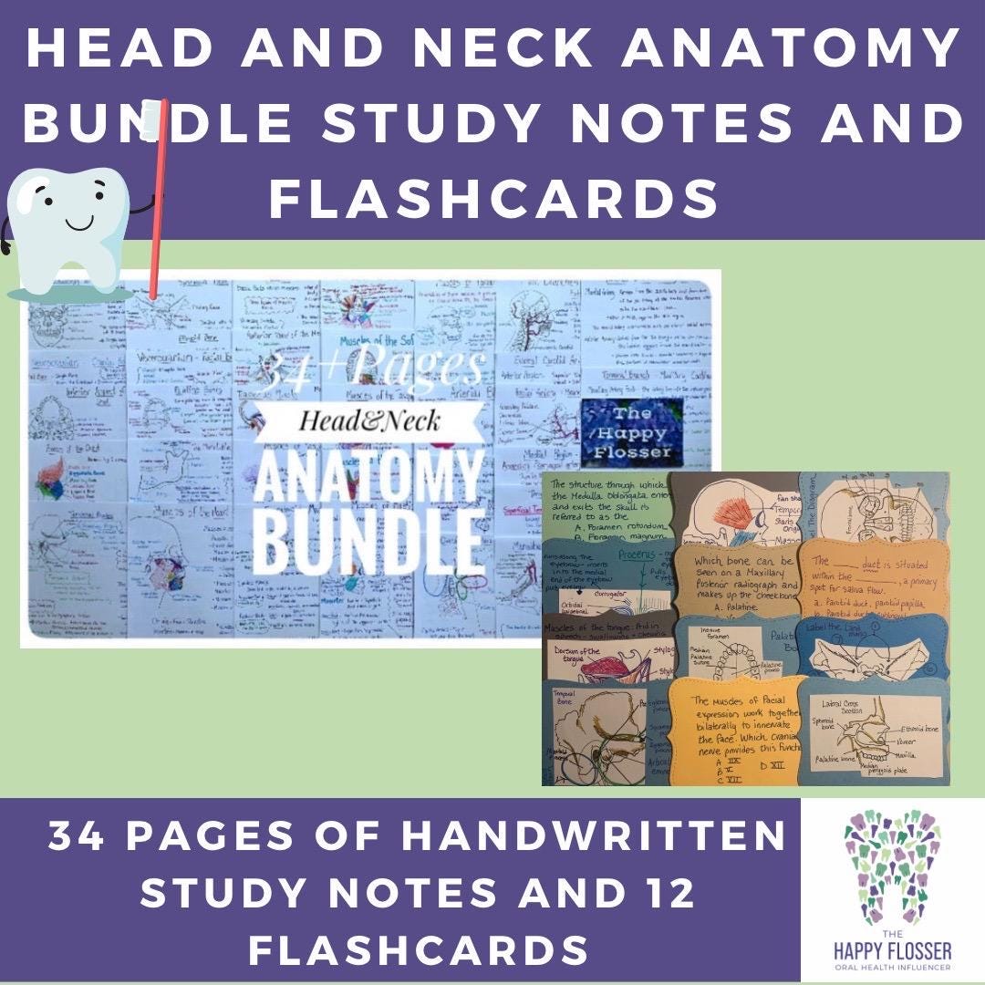 Head and Neck Anatomy Study Notes Bundle - Etsy