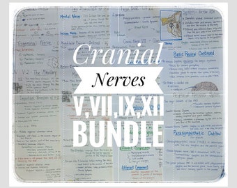 Cranial Nerve Bundle V, VII, IX, and XII Dental Study Sheets