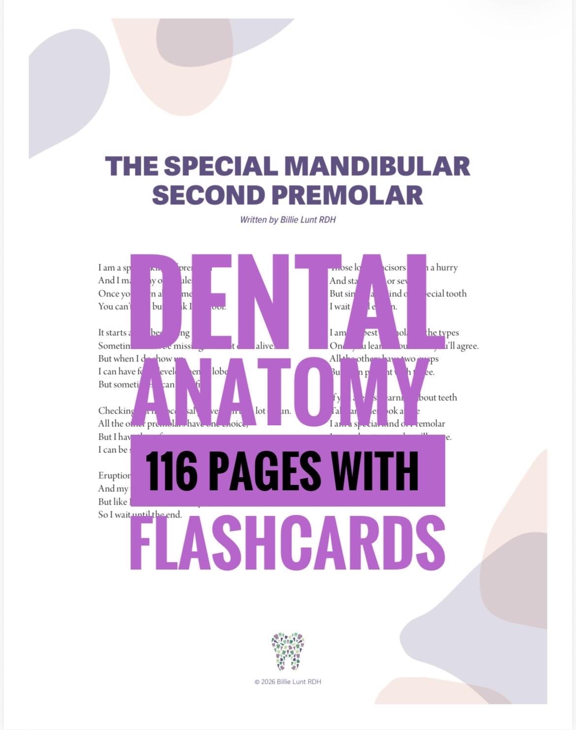 Dental Tooth Anatomy Spiralbound 116 Color Handwritten Notes for
