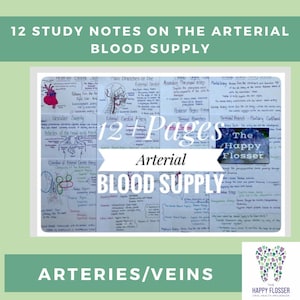 Anatomy of the Blood Supply to the Head and Neck Study Sheets for Dental Students
