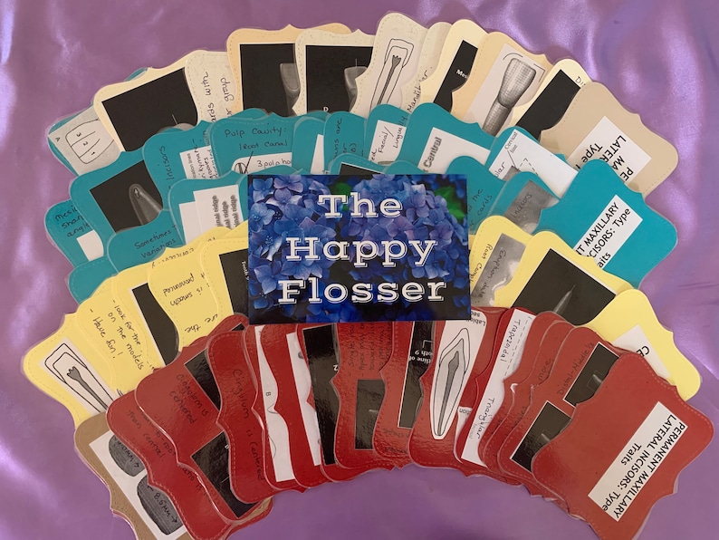 Dental Flashcards Incisor Tooth Morphology for Dental Hygiene Students Etsy