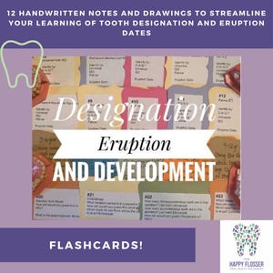 Tooth Designation, Development, and Eruption Flashcards Self Study for Dental Hygiene Students
