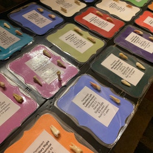 Tooth Anatomy and Designation Systems Flashcards for Dental Students