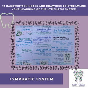 Lymphatic System Study Sheets for Dental Hygiene Students