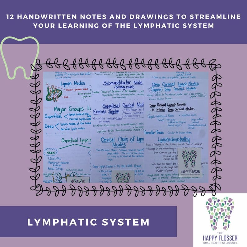 Lymphatic System Printable Study Guide Lymphatic System Study Sheets for Dental Hygiene Students - Etsy