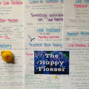 May include: A collection of handwritten notes on white paper with blue and red ink. The notes are about local anesthesia, neuroanatomy, and vasoconstrictor dose calculations. A yellow rubber duck and a blue flower are visible in the image.