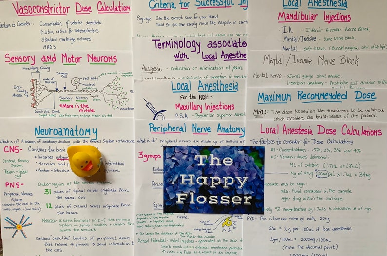 May include: A collection of handwritten notes on white paper with blue and red ink. The notes are about local anesthesia, neuroanatomy, and vasoconstrictor dose calculations. A yellow rubber duck and a blue flower are visible in the image.