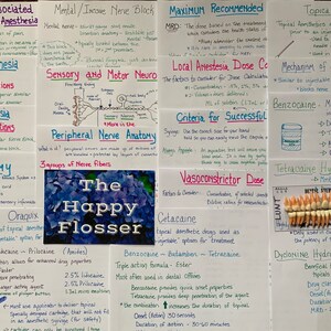 May include: A collection of handwritten notes on white paper with blue and purple accents. The notes cover topics related to local anesthesia, including terminology, neuroanatomy, nerve blocks, and topical agents. The notes are organized into sections with headings and subheadings. The notes are written in a clear and concise style, making them easy to read and understand.