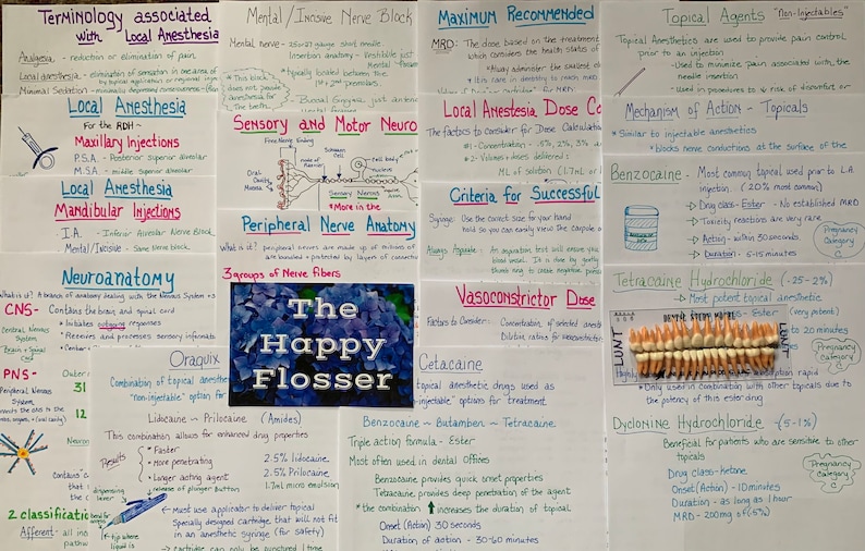 May include: A collection of handwritten notes on white paper with blue and purple accents. The notes cover topics related to local anesthesia, including terminology, neuroanatomy, nerve blocks, and topical agents. The notes are organized into sections with headings and subheadings. The notes are written in a clear and concise style, making them easy to read and understand.